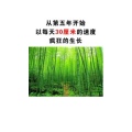 文字类5118