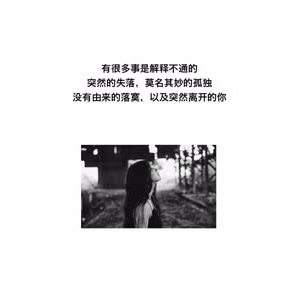 文字类5158