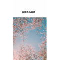 文字类5320