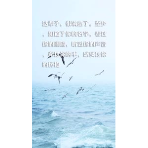 文字类5340