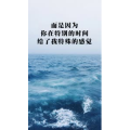 文字类5420