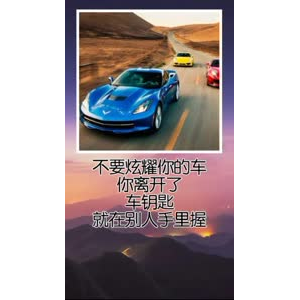 文字类5494