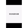 文字类5596