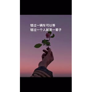 文字类5778