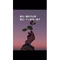 文字类5778