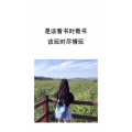文字类5832