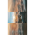 文字类5844