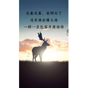 文字类5954