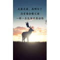 文字类5954