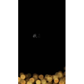 文字类6080