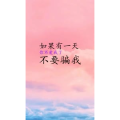 文字类6228
