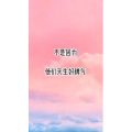 文字类6494