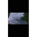 情感励志43